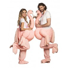 Kostuum: Op een flamingo