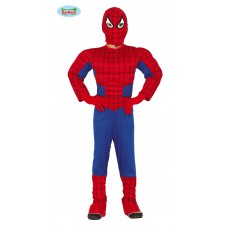 Helden: Spiderboy Kostuum en Masker